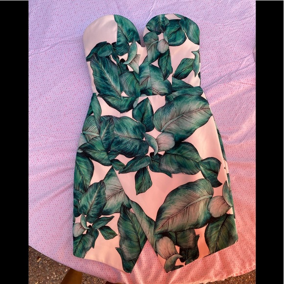 C/MEO Collective Women's Green Palm Leaf Printed Dress - Picture 12 of 13